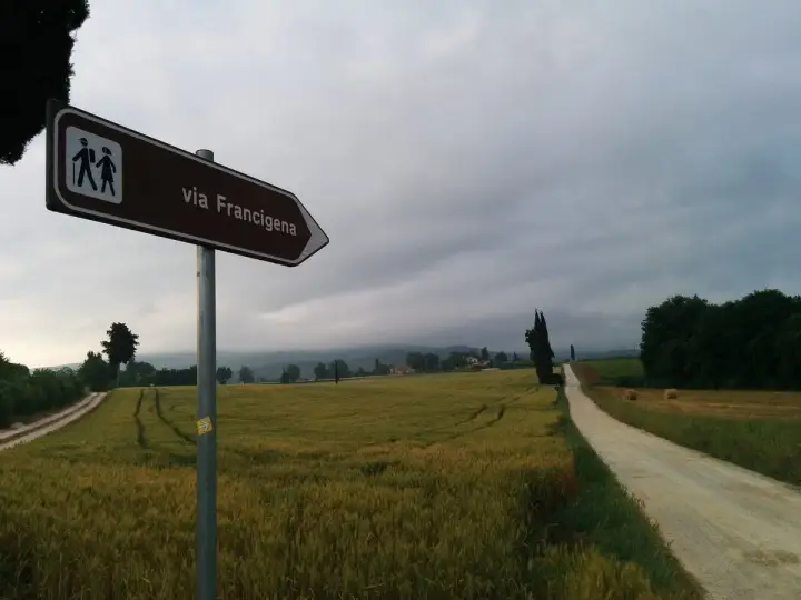 Segnale della Via Francigena indica il cammino attraverso campi dorati e un viale di cipressi sotto un cielo nuvoloso.
