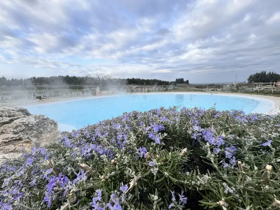 Piscina termale con fiori di rosmarino in primo piano. Un'ottima idea per le cose da fare a Viterbo, relax e natura.